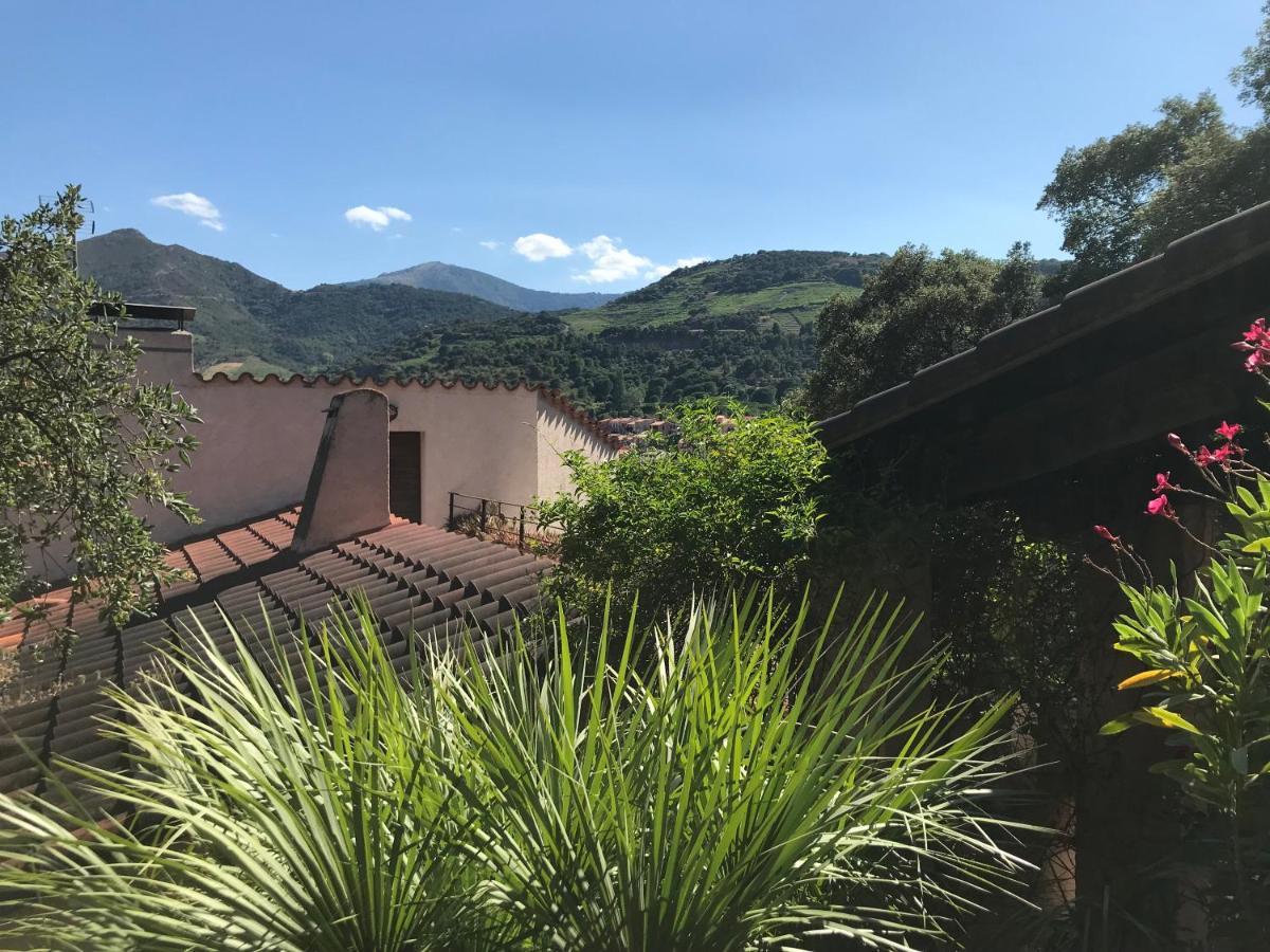 Les Chenes-Lieges D'Ambeille Apartment Collioure Ngoại thất bức ảnh