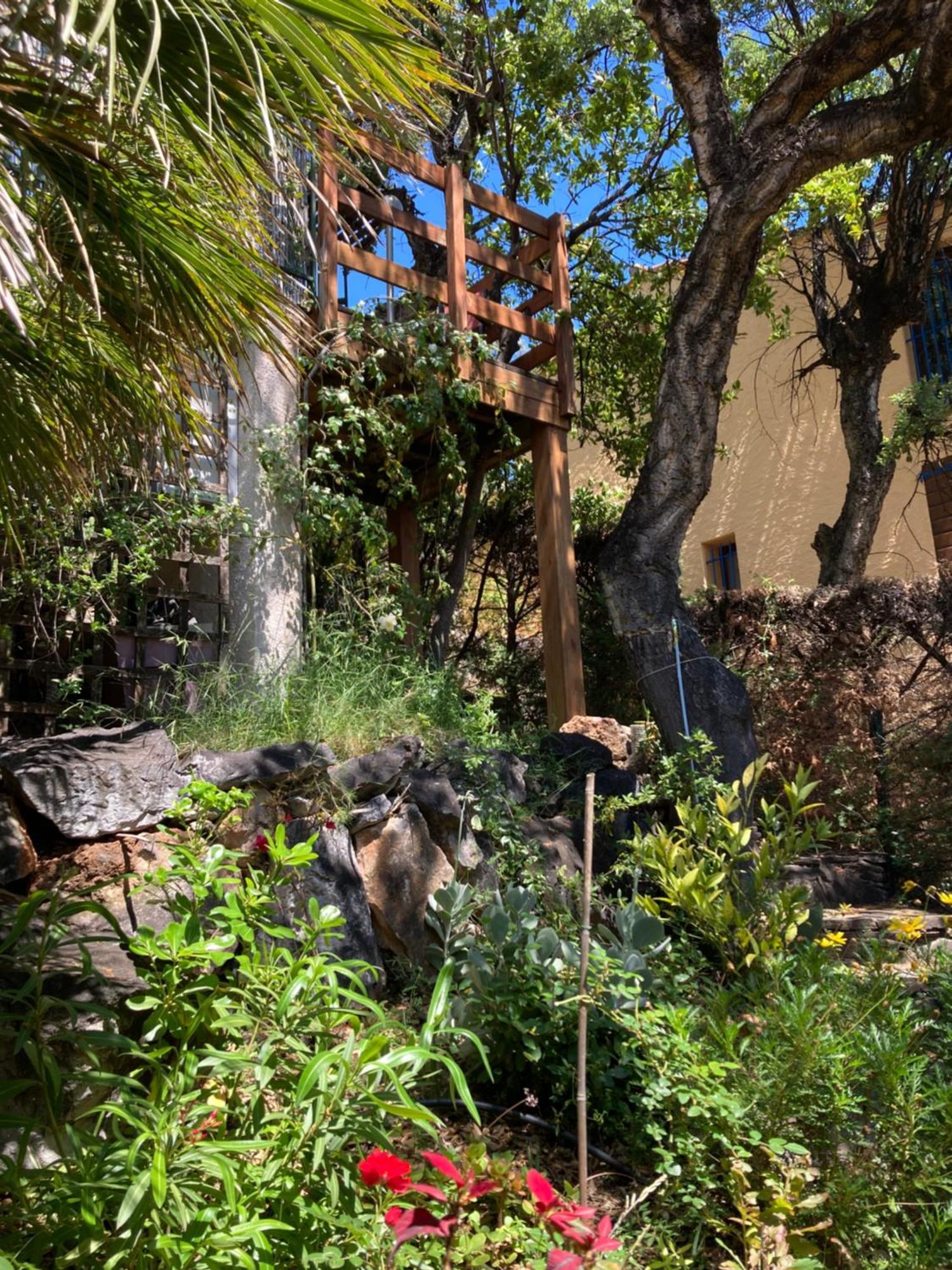Les Chenes-Lieges D'Ambeille Apartment Collioure Ngoại thất bức ảnh