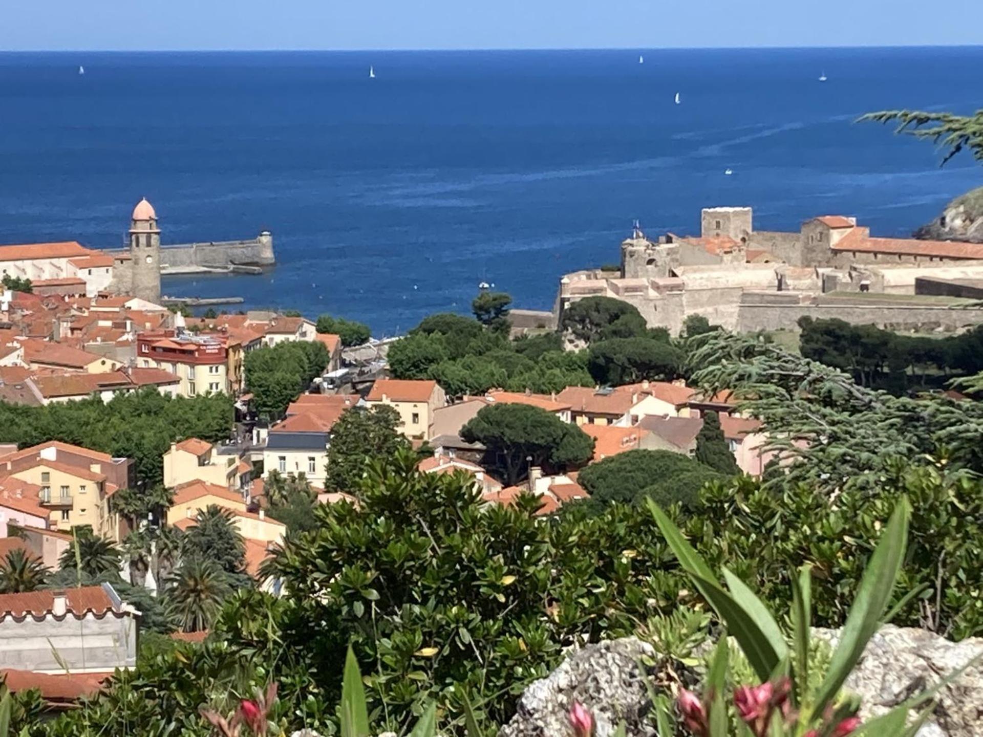 Les Chenes-Lieges D'Ambeille Apartment Collioure Ngoại thất bức ảnh